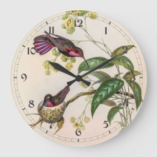 Vintage Hummingbird av John Gould Stor Klocka