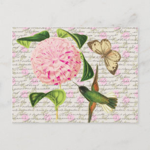 Vintage Hummingbird Butterfly och Caryophyllus Vykort