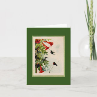 Vintage Hummingbird Kort