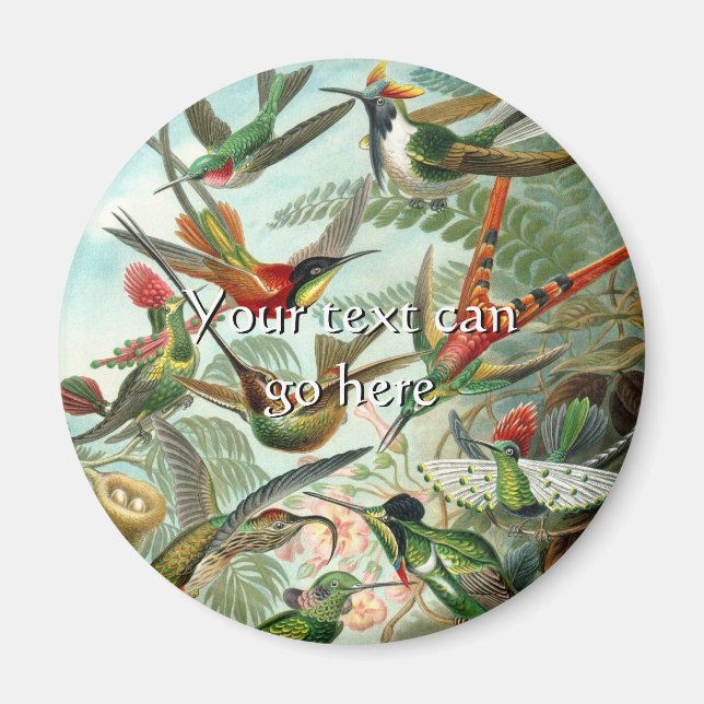 Vintage Hummingbird Magnet (Framsidan)