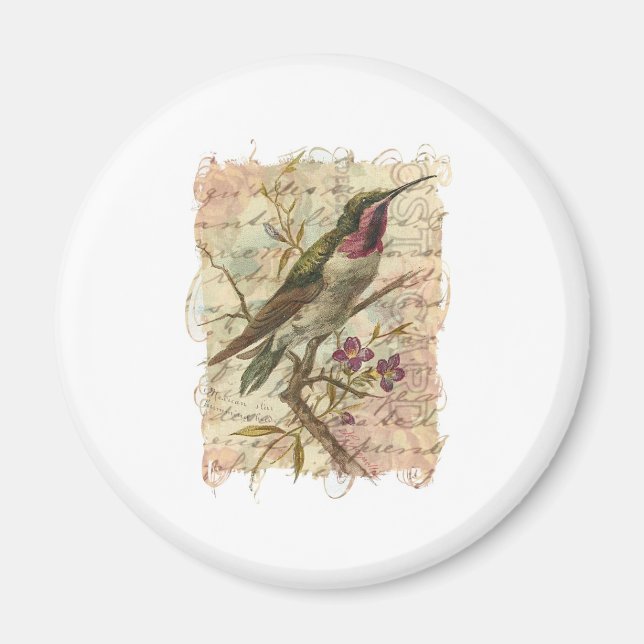 Vintage Hummingbird Magnet (Framsidan)