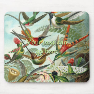 Vintage Hummingbird Musmatta