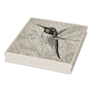 Vintage Hummingbird nr 1 Vattenfärgskonst Stämpel