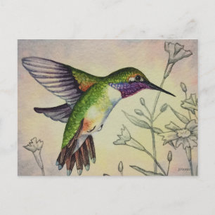 Vintage Hummingbird nr 2 Vattenfärgsbild Vykort