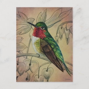 Vintage Hummingbird nr 4 Vattenfärgskonst Vykort