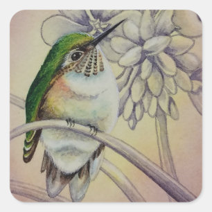 Vintage Hummingbird nr 5 Vattenfärgskonst Fyrkantigt Klistermärke