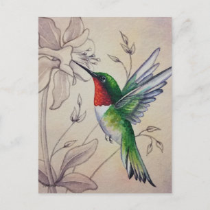 Vintage Hummingbird nr 6 Akvarell konst Vykort