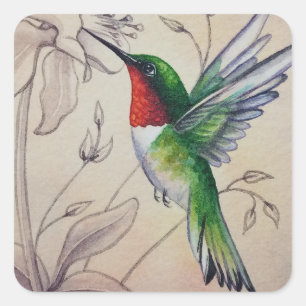 Vintage Hummingbird nr 6 Vattenfärgskonst Fyrkantigt Klistermärke