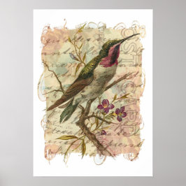 Vintage Hummingbird Poster
