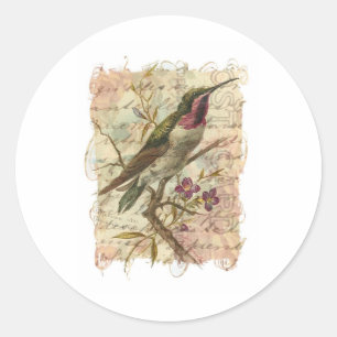 Vintage Hummingbird Runt Klistermärke