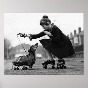Vintage hund foton Dachshund Hundar retro pet kärl Poster