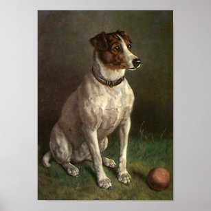 Vintage Hund Image Poster