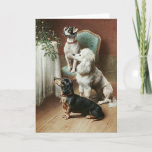Vintage - Hundar Admire a Julgran Helgkort
