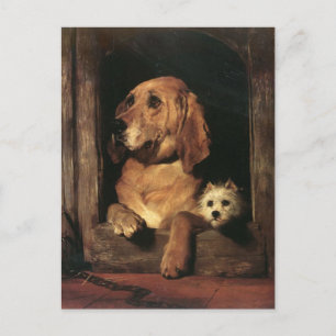 Vintage Hundar Best Friends Vykort