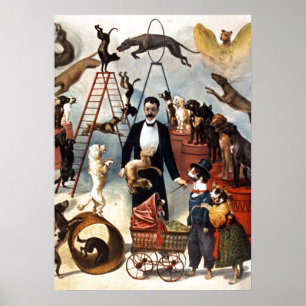 Vintage Hundar Circus Illustration Art gammal anti Poster