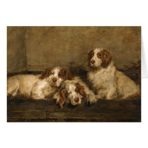 Vintage - hundar för Clumber Spaniel, Hälsningskort
