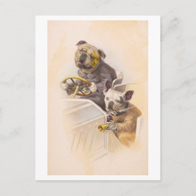 Vintage Hundar Köra bil Vykort (Framsida)