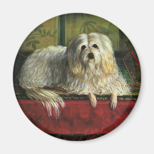 Vintage husdjur, Shaggy Fårhund Hund Magnet