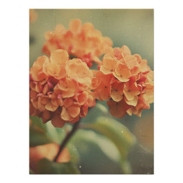 Vintage Hydrangea Bloom - Warm Tones Film Texture Perfect Poster