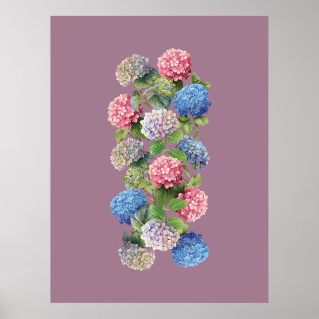 Vintage Hydrangea Poster (Framsidan)