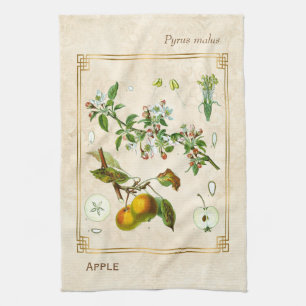 Vintage Illustration Apple Fruit Botanical Blommig Kökshandduk