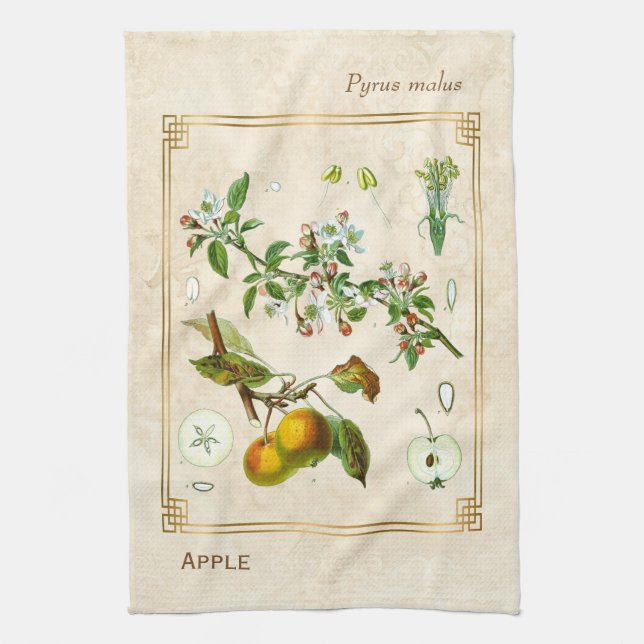 Vintage Illustration Apple Fruit Botanical Blommig Kökshandduk (Vertikal)