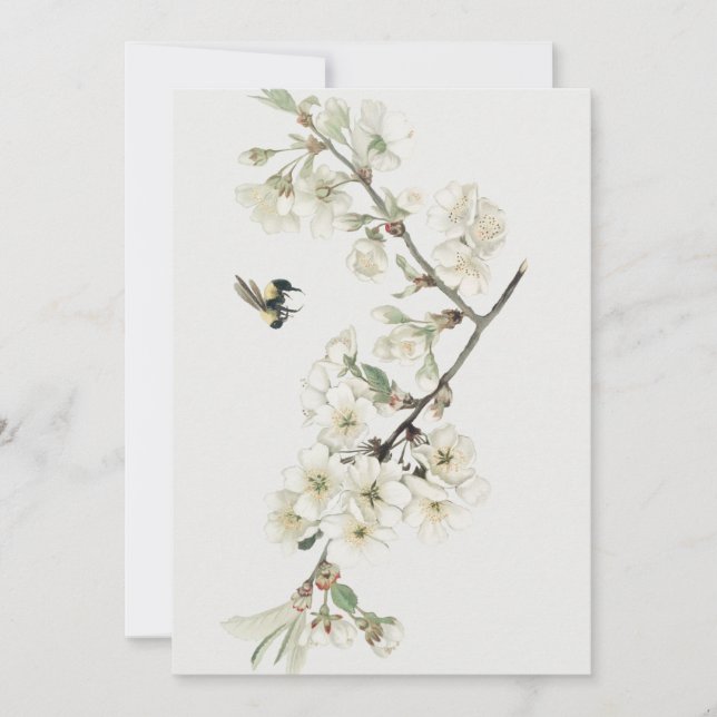 Vintage illustration av äppelblom inbjudningar (Framsida)