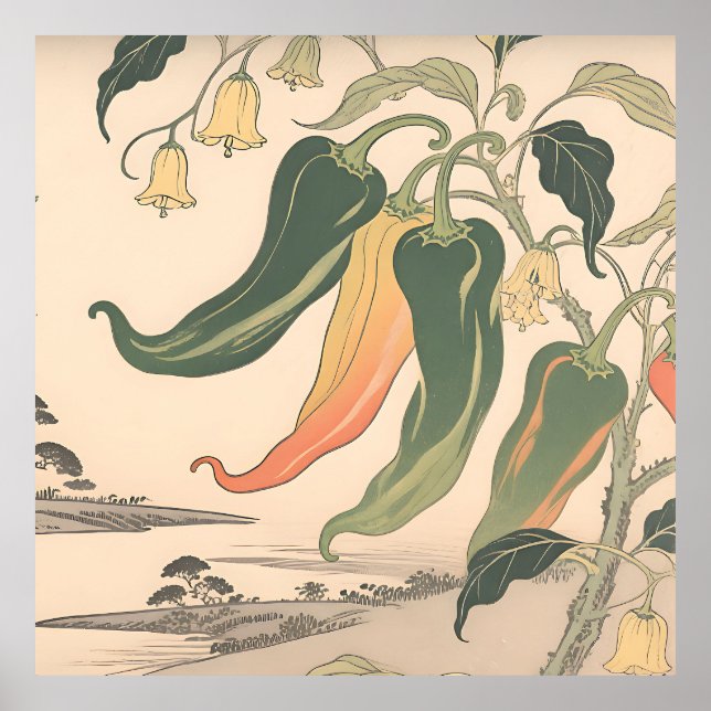 Vintage Illustration av Chilipeppar Poster (Framsidan)