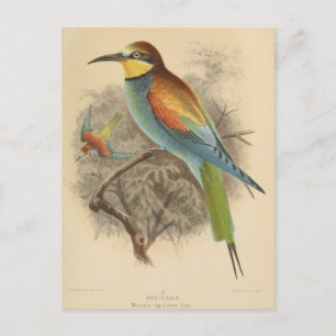 Vintage illustration av europeisk biodling vykort