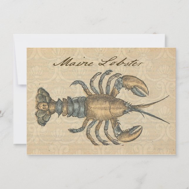 Vintage-illustration av hummer: Coastal Damask  Inbjudningar (Framsida)