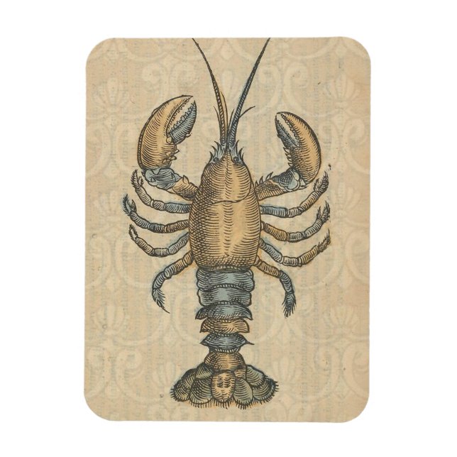 Vintage illustration av hummer: Coastal Damask  Magnet (Vertikal)