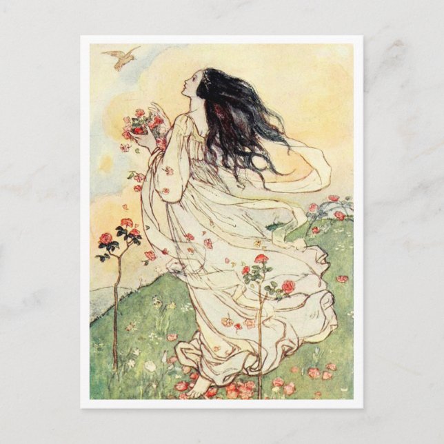 Vintage Illustration av Ro Petals Vykort (Framsida)