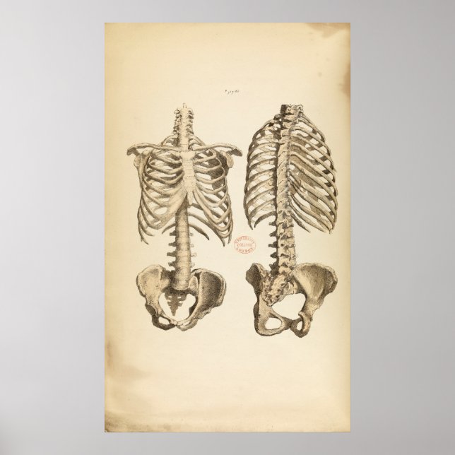 Vintage Illustration av segment i segmentet Poster (Framsidan)