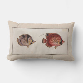 Vintage Illustration Butterfly Fish Lumbarkudde
