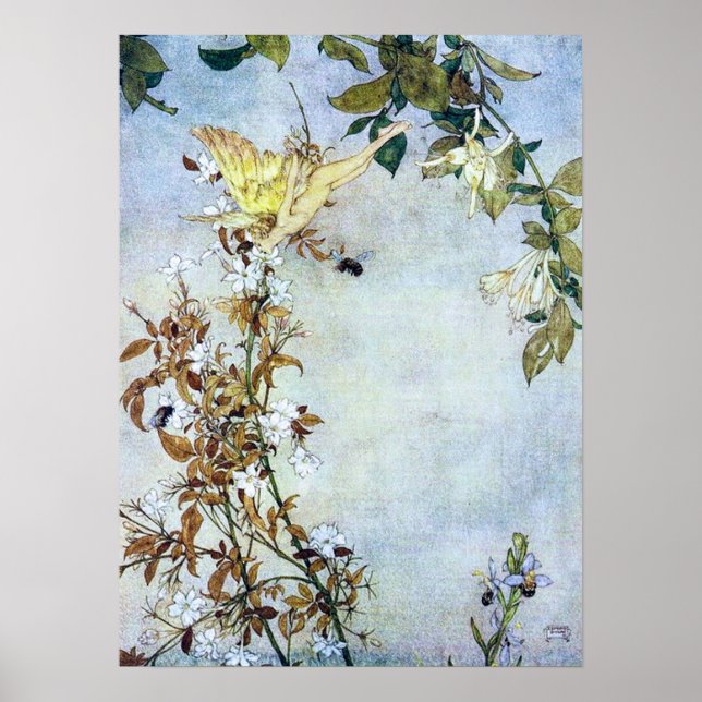 Vintage Illustration Edmund Dulac Tempest Poster (Framsidan)