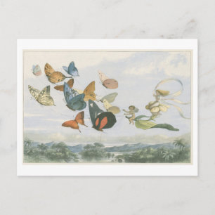 Vintage Illustration Fairy Queen with Butterflies Vykort