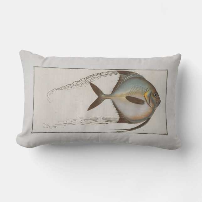 Vintage Illustration Fish Zeus Ciliaris Lumbarkudde (Framsida)