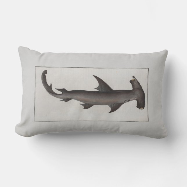 Vintage Illustration Hammerhead Shark Lumbarkudde (Framsida)