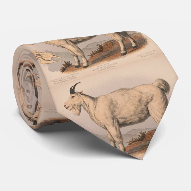 Vintage Illustration of a Goat (1874) Slips (Rullad)