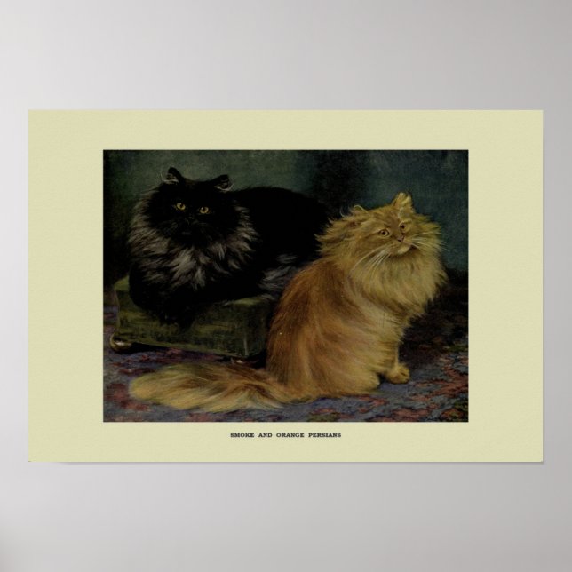 Vintage Illustration of Cats Poster (Framsidan)