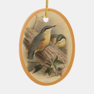 Vintage Illustration of Nuthatch Ceramic Träd Deco Julgransprydnad Keramik