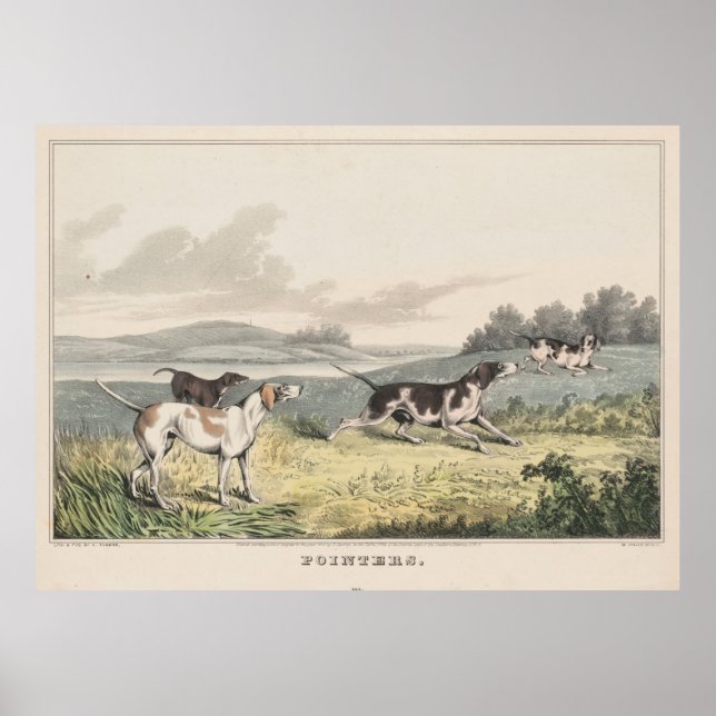 Vintage Illustration of Pointer Hundar (1846) Poster (Framsidan)