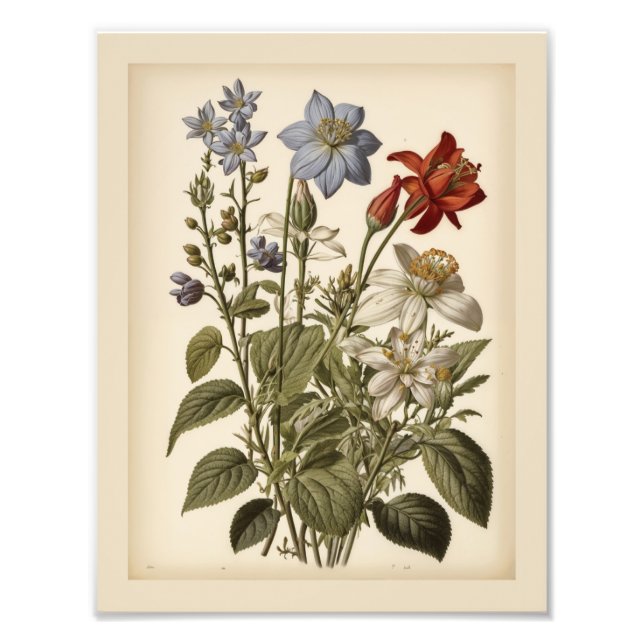 Vintage illustration of wildflowers  fototryck (Framsidan)