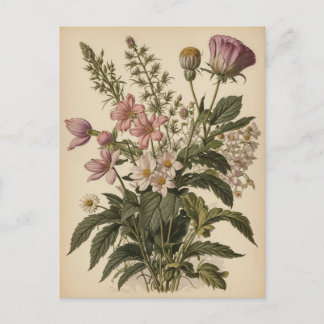 Vintage Illustration of Wildflowers  Vykort