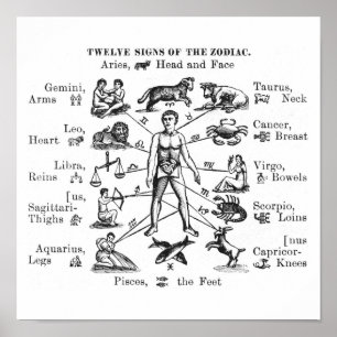 Vintage Illustration Tolv tecken på Zodiac Poster