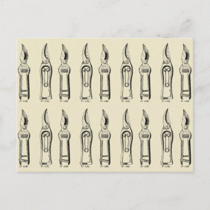 VINTAGE ILLUSTRATION  Verktyg Pruners 2 Vykort