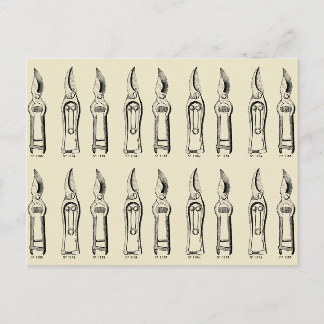 VINTAGE ILLUSTRATION  Verktyg Pruners 2 Vykort (Framsida)