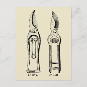 VINTAGE ILLUSTRATION  Verktyg Pruners P Vykort