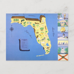 Vintage Illustrerad Florida Vykort