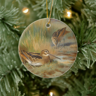 Vintage illustrerade smitfåglar, fåglar julgransprydnad keramik